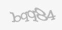 Захисний код